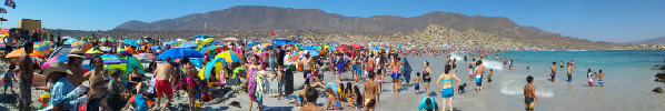 PLaya totoralillo