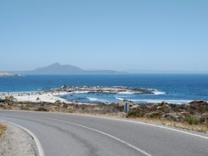 m_20201122_144623 - copia