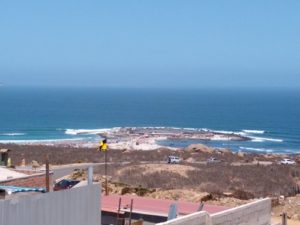 m_IMG_20200206_131713341